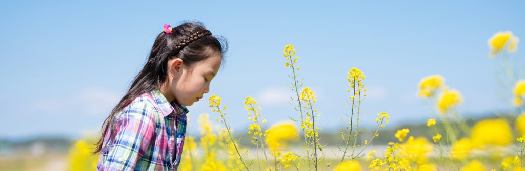 Meisje ruikt in een bloemenveld