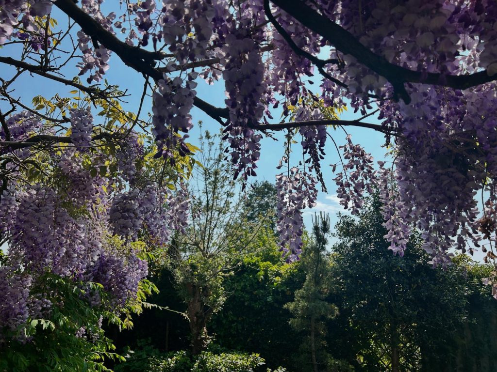 Lente gevoel